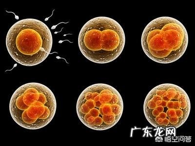 怀孕第一个月会有什么反应?