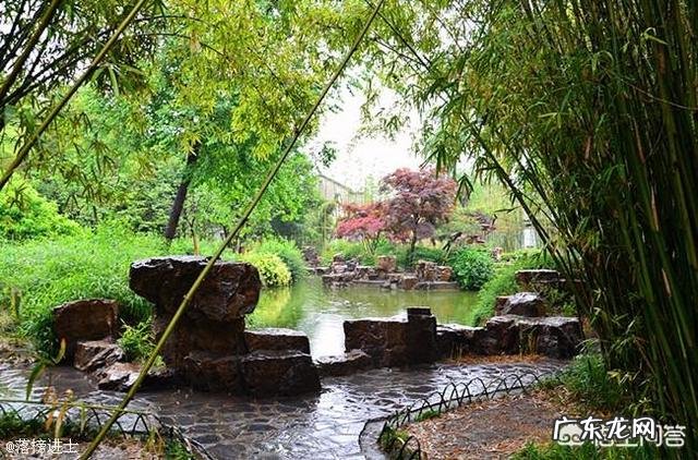 写春天最美的一首诗是什么?