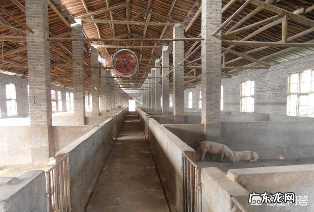 有些地方农村集市生意为何越来越萧条?将来农村集市会消失吗?