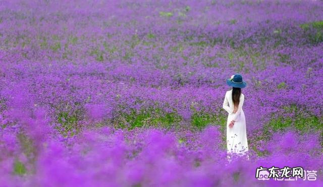 夫妻之间，出现沟通问题怎么办？用什么来维持婚姻？