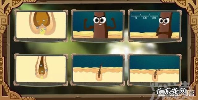 为什么只有男性会严重脱发?