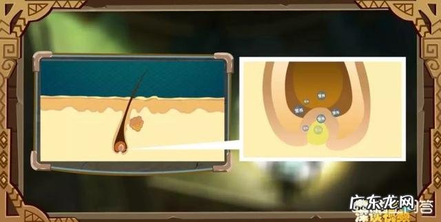 为什么只有男性会严重脱发?