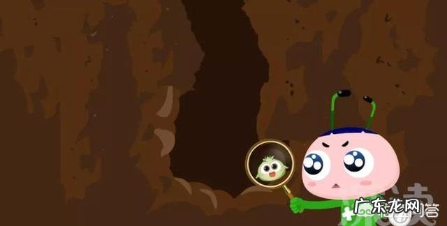 为什么只有男性会严重脱发?