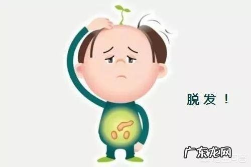 为什么只有男性会严重脱发?