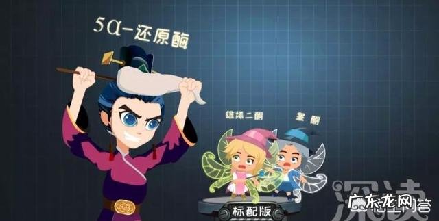 为什么只有男性会严重脱发?