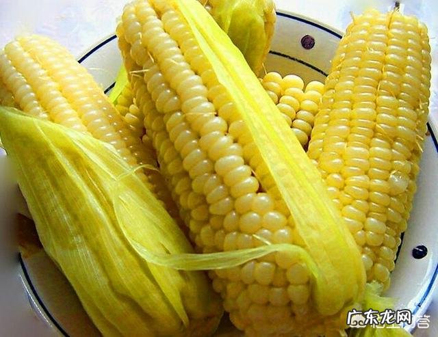 玉米全身都是宝,你了解玉米的药用价值吗?
