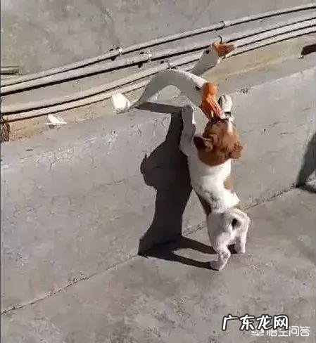 生命诚可贵,爱情价更高,在物欲横流的今天是我们追求的正确爱情观吗?