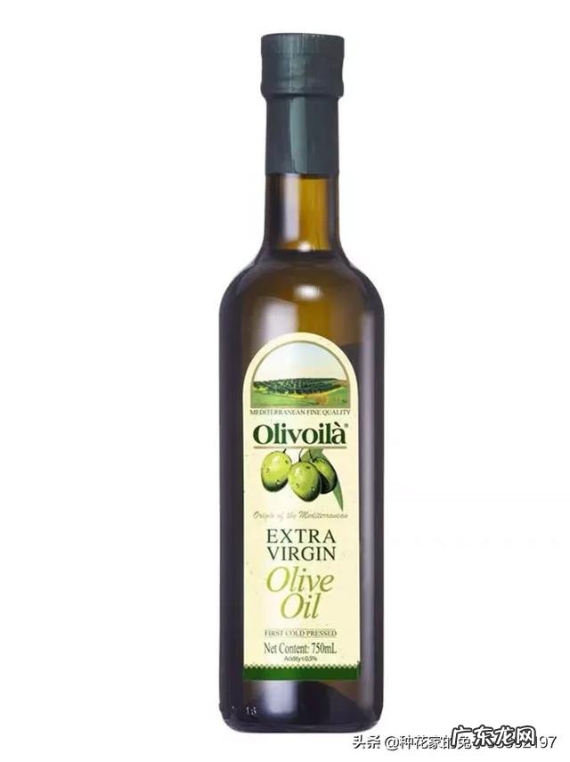 橄榄油适合用来烹饪吗?