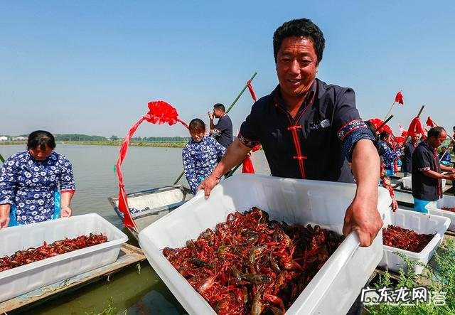 “小龙虾”卖那么贵,养殖成本大约多少?