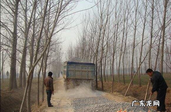 “小龙虾”卖那么贵,养殖成本大约多少?