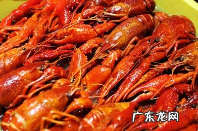 “小龙虾”卖那么贵,养殖成本大约多少?