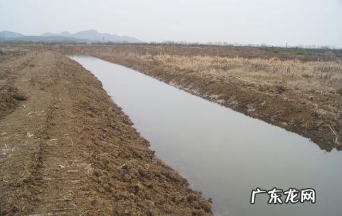 “小龙虾”卖那么贵,养殖成本大约多少?