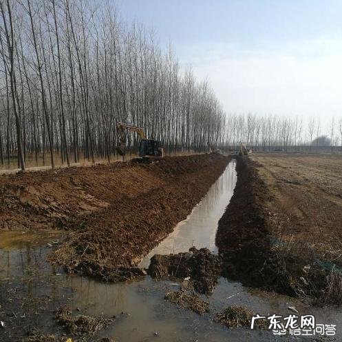 “小龙虾”卖那么贵,养殖成本大约多少?