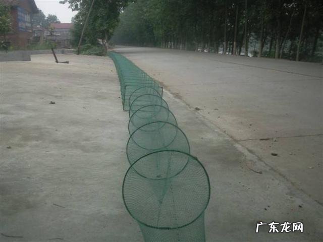 “小龙虾”卖那么贵,养殖成本大约多少?