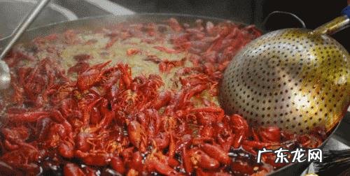 “小龙虾”卖那么贵,养殖成本大约多少?