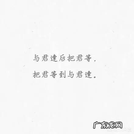 你们读过的最深情的句子有哪些?