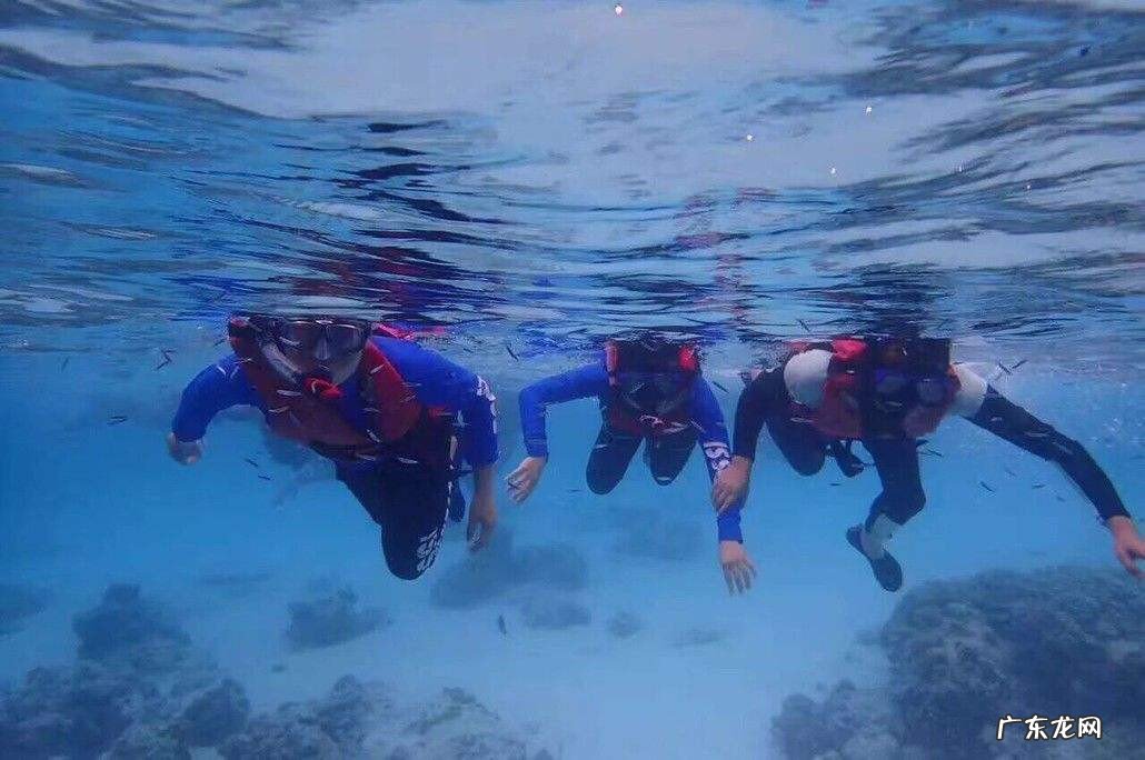 潜水打鱼的正确方法