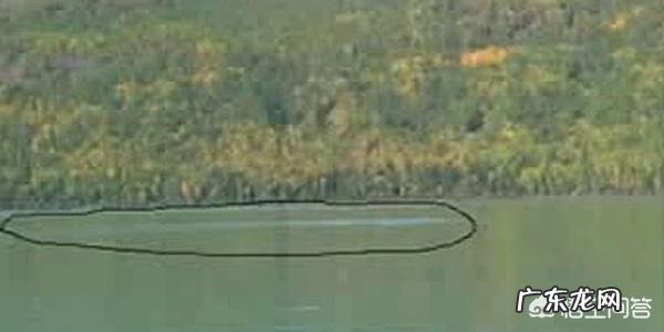 中国的未解之谜有哪些?