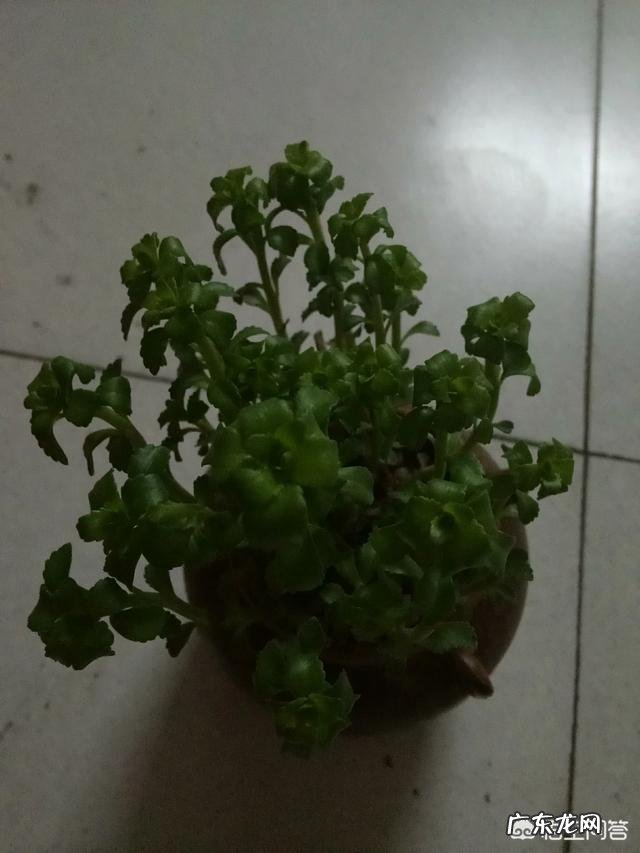 职场领导者如何营造活跃进取的团队氛围？