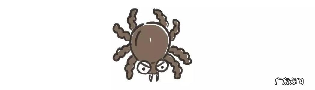 被蜱虫咬了怎么办