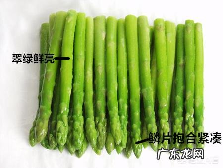 芦笋作为“抗癌明星”,都有哪些吃法?