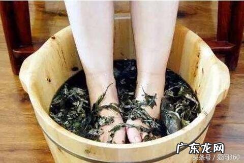 艾叶的性味功效是什么?