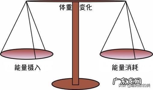 减肥期间晚上喝啤酒,当天的锻炼还有用吗?