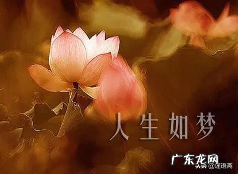 人生如梦怎么说?