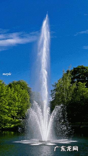 世界上最长的蛇有多长?