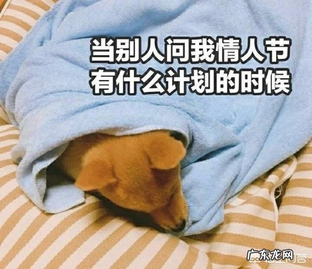 你认为情人节应该怎么过?