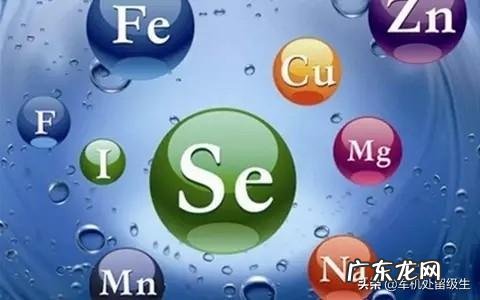 人体需要的微量元素有哪些？为何？