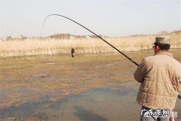 冬天怎么钓鱼？冬天的钓鱼技巧？