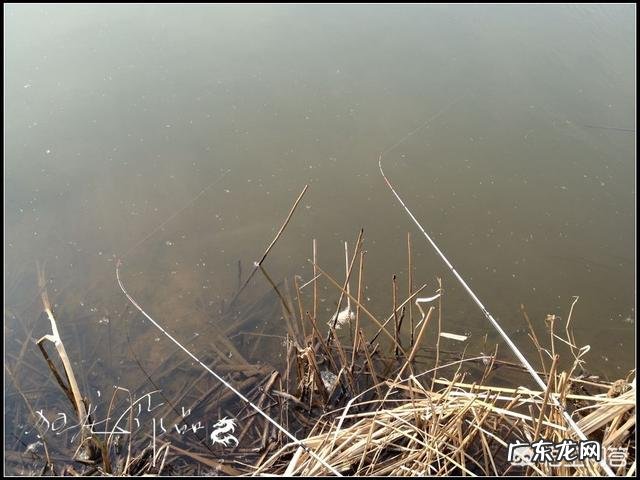 冬天怎么钓鱼？冬天的钓鱼技巧？