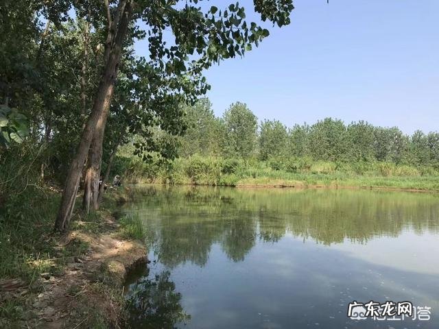 冬天怎么钓鱼?冬天的钓鱼技巧?