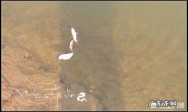 冬天怎么钓鱼？冬天的钓鱼技巧？