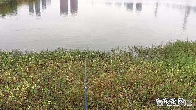 冬天怎么钓鱼?冬天的钓鱼技巧?