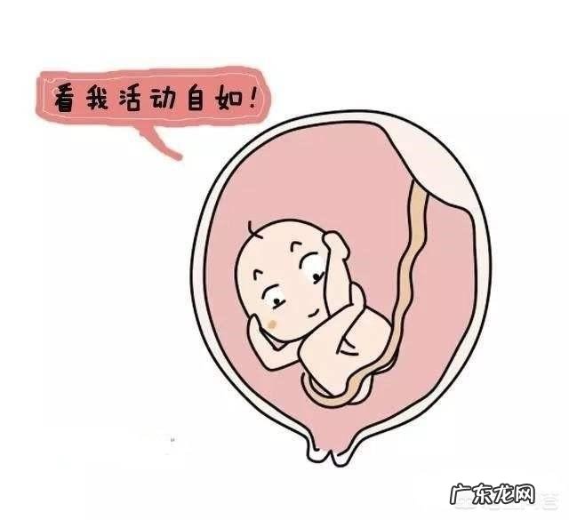 怀胎七个月,胎动在大腿根部是怎么回事?