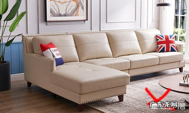 淡卡其色L型沙发,垫子是4个6075的大靠垫,配上四个什么样颜色的枕套搭上好看?