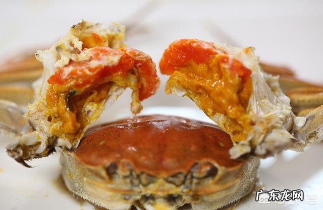 大闸蟹什么季节吃最合适?它有哪些营养价值?