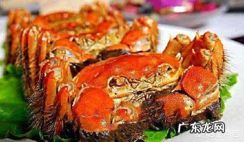 大闸蟹什么季节吃最合适?它有哪些营养价值?