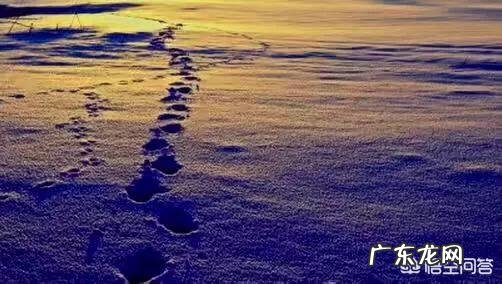 你们有没有很想很想念的人?