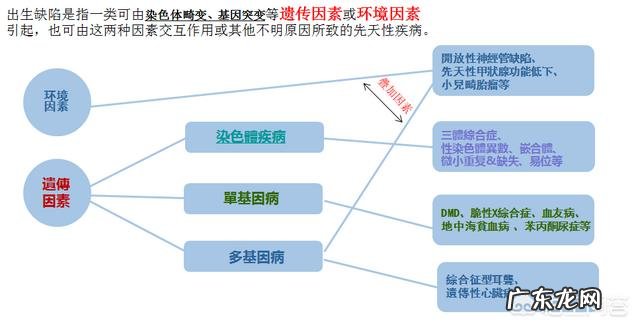 如果通过了无创DNA,是不是可以保证整个孕期的胎儿健康安全了?