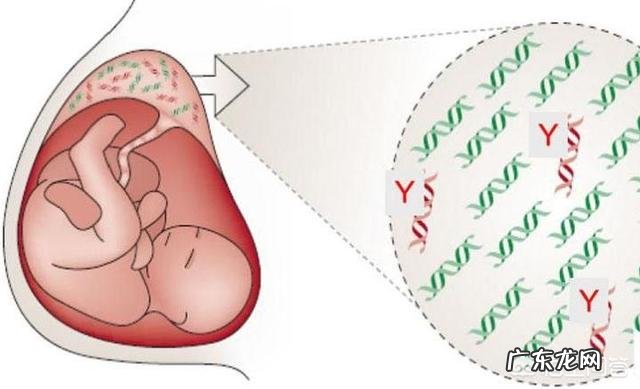 如果通过了无创DNA,是不是可以保证整个孕期的胎儿健康安全了?