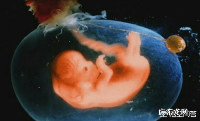 如果通过了无创DNA,是不是可以保证整个孕期的胎儿健康安全了?