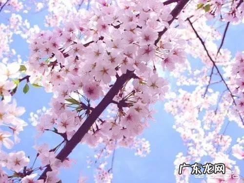 有啥情话可以撩到男友呢？