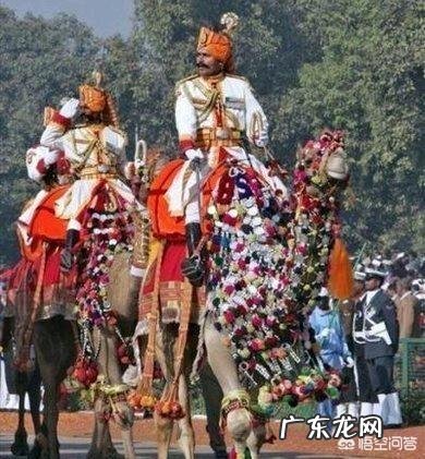 美国军队中有没有阅兵式?