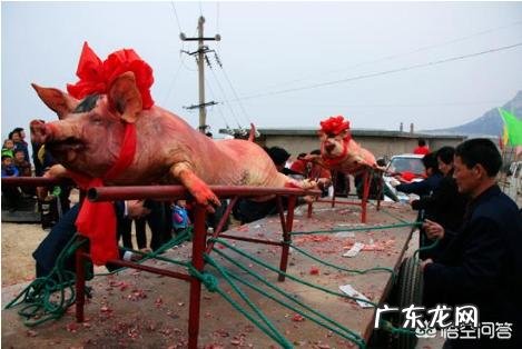 明天是二十四节气谷雨,你们知道谷雨有什么习俗吗?