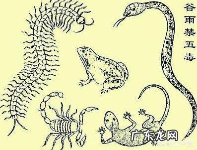 明天是二十四节气谷雨，你们知道谷雨有什么习俗吗？