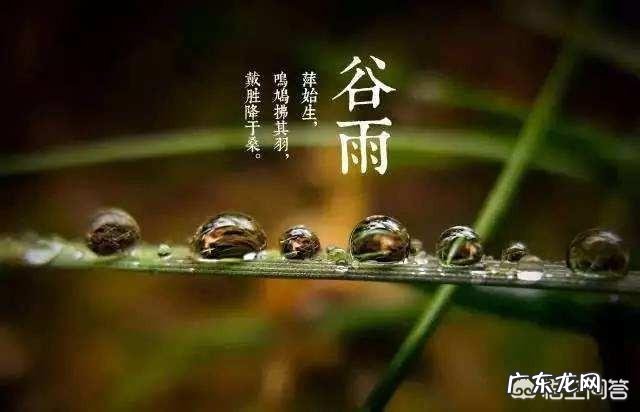 明天是二十四节气谷雨,你们知道谷雨有什么习俗吗?