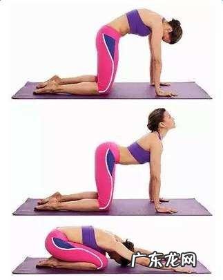 瑜伽有什么入门级的姿势吗？